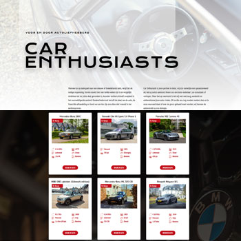 car-enthousiast-occasion-websute-webwerkplaats logo-picturae