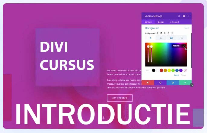 divi-basis-cursus introductie